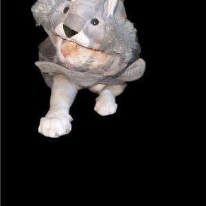 Halloween. Baby Velcro cat costume medium